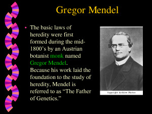 PowerPoint Presentation - Gregor Mendel by liwenting