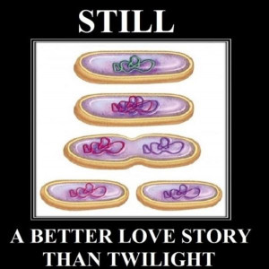 still-a-better-love-story-than-twilight-cells.jpeg