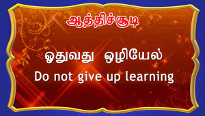wisdom thoughts tamil