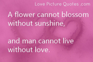 ... Without Sunshine, And Man Cannot Live Without Love ~ Love Quote