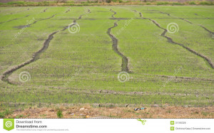 Funny Quotes Contact Us DMCA Notice