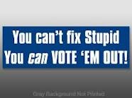 You Can't Fix Stupid •