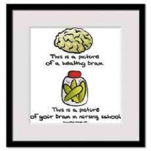 ... Brain,This Is A Picture Of Your Brain In Nurshing School - Funny Quote