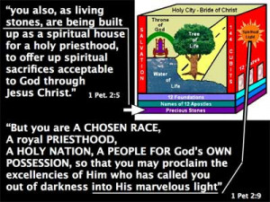 ... excellencies of Him who has called you out of darkness into His