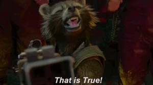 Rocket Raccoon Believes That Is True In Marvel’s Guardians Of The ...