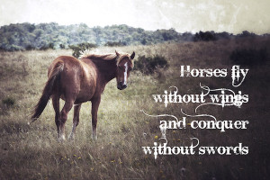 Inspirational Horse Quote - www.GreatArtPhotos.com
