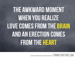 Funny photos funny love brain heart quote