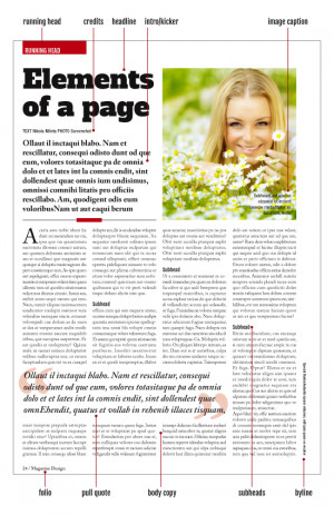 Elements of a Magazine Page