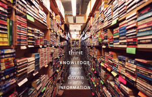 Knowledge Quote 7: “In your thirst for knowledge be sure not to ...