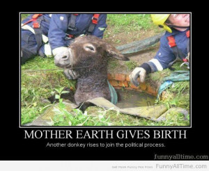 ... Pictures what are funny donkey quotes movies and rainyshrek