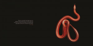 Evil Quotes HD Wallpaper 18