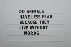 Do Animals have Less Fear Because They Live Without Words ~ Fear Quote