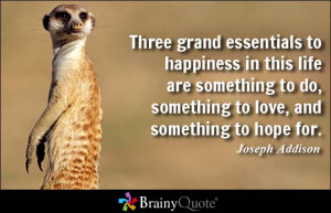 Three grand essentials to happiness in this life are something to do ...