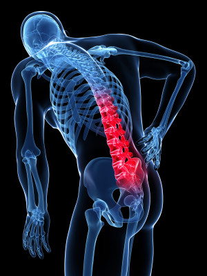 Image Result For Lincoln Chiropractic Image Result For Lincoln Chiropractic