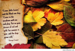 the autumnal weather is really here misty and damp with the odd warm ...