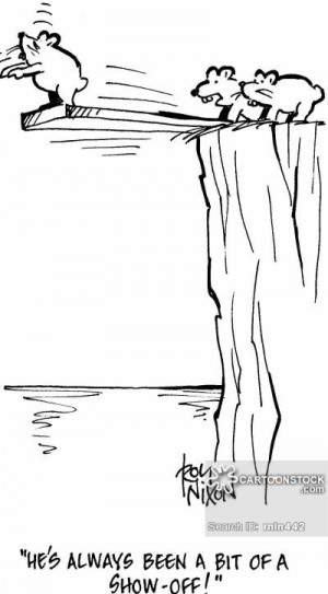 springboard and springboard hoody in 121612 edmonton coaching the ...