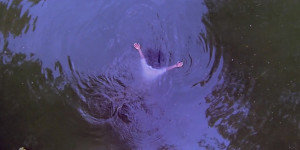 Playlist SZA Babylon music video