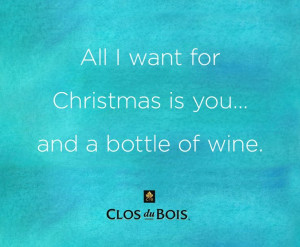 All I want for #Christmas is you... and a bottle of wine. #quote #wine