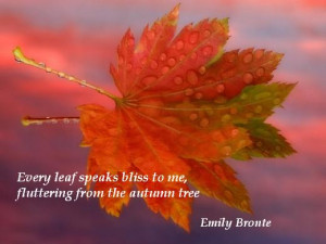 ... speaks bliss to me, fluttering from the autumn tree. (Emily Bronte
