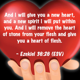 What Does the Bible Say about Organ Donation