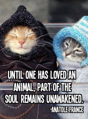 Pinned by Dawn Michelle Matchett