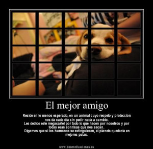 Los perros Nuestros mejores amigos