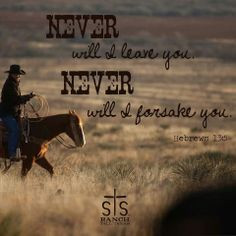 never more equine quotes cowgirls quotes hebrew 135 country quotes 2 1