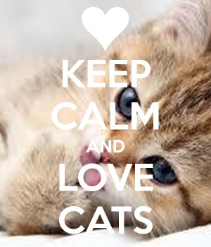 KEEP CALM AND LOVE CATS