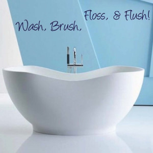 Wash Brush Floss Flush 