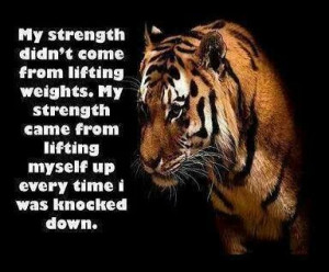 tiger #quote #determination
