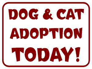 Dog & Cat Adoption Yard Sign