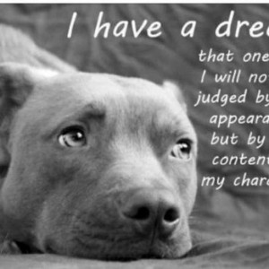 Las Vegas Zen Dog - Las Vegas, NV, United States. ALL Dogs should be ...