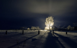 Beautiful winter landscape at night with a shining tree [Amazing Photo ...
