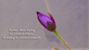 Control quotes - Better than trying to control others is trying to ...