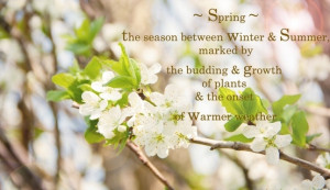 Spring Season Quotes