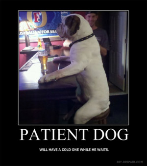 Dog Chills On Bar Stool