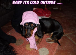 Too Cold Outside Funny Picture