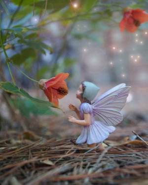 Flower Fairy in the garden