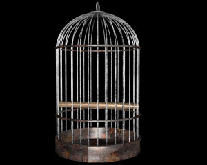 The Empty Bird Cage