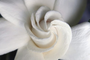 My Aunt, My Godmother ~ Rest In Peace