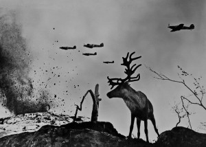 Reindeer Yasha at War” by Russia’s most famous combat photographer ...