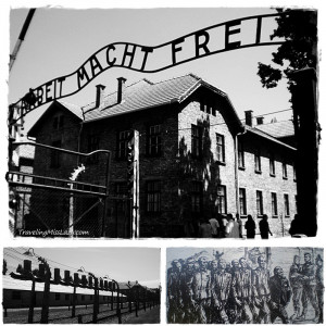 What You’ll See In Auschwitz