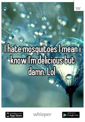 hate mosquitoes!!