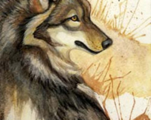 Back > Pix For > Native American Wolf Spirit Quotes