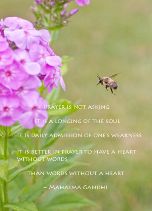 quotes_mahatma-ghandi_porto