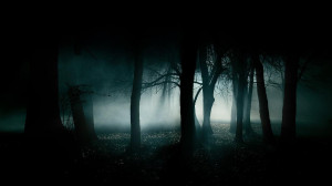 forest-dark-fog-dark-forest-wallpaper1.jpg