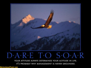 dare to soar -