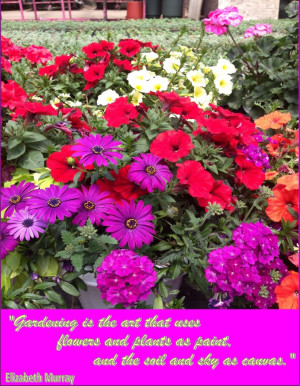 Gardening Quote by Elizabeth Murray