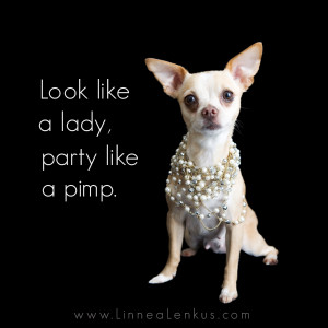 Inspirational dog quote look like a lady, party like a pimp