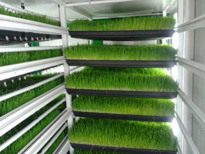 ... what you want? 1 request,multiple quotations Get Quotations Now